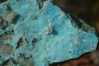 Natural Drusy Coated Chrysocolla Dolomite Specimens x 3 From Laputa Mine, Congo