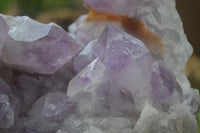 Natural Large Jacaranda Amethyst Cluster  x 1 From Mumbwa, Zambia - Toprock Gemstones and Minerals 