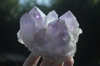 Natural Jacaranda Amethyst Clusters  x 3 From Mumbwa, Zambia - Toprock Gemstones and Minerals 