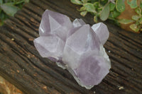 Natural Jacaranda Amethyst Clusters  x 2 From Mumbwa, Zambia - Toprock Gemstones and Minerals 