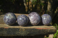 Polished Purple Lepidolite Spheres With Pink Rubellite On Some  x 4 From Madagascar - Toprock Gemstones and Minerals 