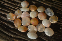 Polished Mini Ocean  Flower Agate Palm Stones  x 140 From Madagascar