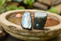 Polished Labradorite Standing Free Forms With Intense Blue & Gold Flash x 12 From Tulear, Madagascar - TopRock