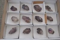 Natural Smokey Amethyst Window Quartz Crystals  x 12 From Chiredzi, Zimbabwe - Toprock Gemstones and Minerals 