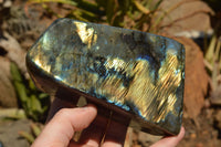 Polished Labradorite Standing Free Forms With Intense Blue & Gold Flash x 2 From Sakoany, Madagascar - TopRock