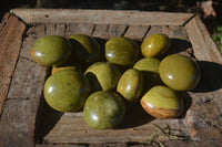 Polished Large Green Opal Palm Stones  x 12 From Madagascar - Toprock Gemstones and Minerals 