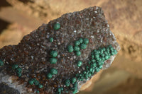 Natural Rare Ball Malachite On Drusy Quartz & Dolomite Matrix  x 2 From Kambove, Congo