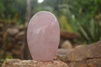 Polished Pink Rose Quartz Standing Free Forms x 2 From Ambatondrazaka, Madagascar - TopRock