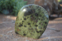 Polished Spotted Leopard Stone Standing Free Forms  x 12 From Nyanga & Shamva, Zimbabwe - Toprock Gemstones and Minerals 