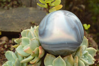 Polished Agate Spheres With Stunning Ring Patterns x 2 From Madagascar - TopRock