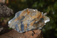 Natural Blue Kyanite Matrix Specimens  x 5 From Zimbabwe