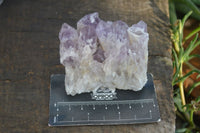 Natural Sugar Amethyst Clusters  x 6 From Solwezi, Zambia - Toprock Gemstones and Minerals 