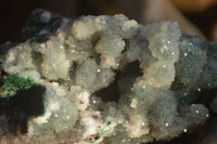 Natural Drusy Coated Ball Malachite On Dolomite Specimens  x 2 From Likasi, Congo