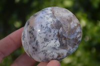 Polished Stunning Dendritic Opal Palm Stones  x 12 From Madagascar - Toprock Gemstones and Minerals 