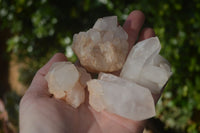 Natural Small Quartz Clusters  x 24 From Madagascar