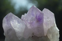 Natural Jacaranda Amethyst Clusters  x 3 From Mumbwa, Zambia - Toprock Gemstones and Minerals 