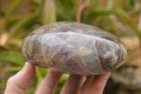 Polished Smokey Amethyst Standing Free Forms  x 1 From Madagascar - TopRock