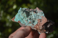 Natural Drusy Coated Chrysocolla On Dolomite Specimens x 4 From Congo