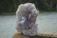 Natural Large Jacaranda Amethyst Cluster  x 1 From Mumbwa, Zambia - Toprock Gemstones and Minerals 