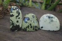 Polished Spotted Leopard Stone Standing Free Forms  x 12 From Nyanga & Shamva, Zimbabwe - Toprock Gemstones and Minerals 