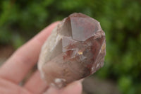 Natural Red Hematoid Quartz Specimens x 12 From Karoi, Zimbabwe - TopRock