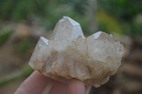 Natural Cascading White Phantom Quartz Clusters  x 6 From Luena, Congo - Toprock Gemstones and Minerals 