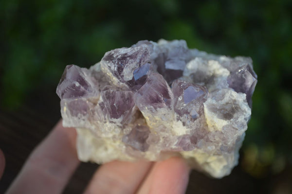 Natural Sugar Amethyst Clusters  x 6 From Solwezi, Zambia - Toprock Gemstones and Minerals 