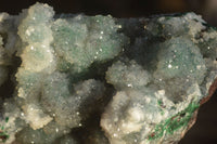 Natural Drusy Coated Ball Malachite On Dolomite Specimens  x 2 From Likasi, Congo