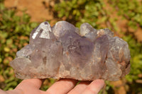 Natural Jacaranda Amethyst Clusters x 2 From Mumbwa, Zambia - TopRock