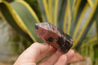 Polished Stunning Pink & Black Rhodonite Points  x 12 From Madagascar - TopRock