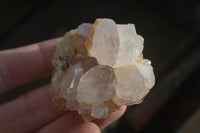 Natural Spirit Amethyst Cactus Quartz Clusters x 12 From Boekenhouthoek, South Africa