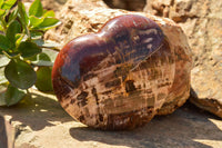 Polished Large Petrified Red Podocarpus Wood Hearts  x 2 From Mahajanga, Madagascar - TopRock