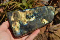 Polished Labradorite Standing Free Forms With Intense Blue & Gold Flash x 2 From Sakoany, Madagascar - TopRock