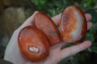 Polished Carnelian Agate Standing Free Forms  x 6 From Madagascar - Toprock Gemstones and Minerals 