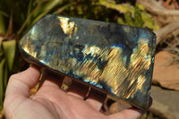 Polished Labradorite Standing Free Forms With Intense Blue & Gold Flash x 2 From Sakoany, Madagascar - TopRock