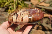 Polished Large Petrified Red Podocarpus Wood Hearts  x 2 From Mahajanga, Madagascar - TopRock