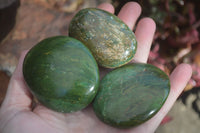 Polished Green Verdite Palm Stones (Two With Ruby) x 12 From Zimbabwe - Toprock Gemstones and Minerals 