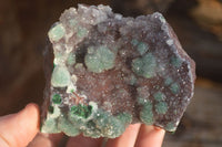 Natural Drusy Coated Ball Malachite On Dolomite Specimens  x 2 From Likasi, Congo