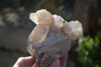 Natural Red Hematoid Quartz Clusters x 3 From Karoi, Zimbabwe