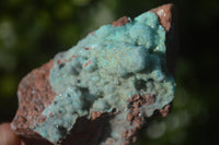 Natural Drusy Coated Chrysocolla On Dolomite Specimens x 4 From Congo