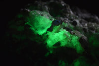 Natural Fluorescent Hyalite Opal Specimen  x 1 From Erongo, Namibia