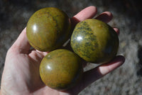 Polished Large Green Opal Palm Stones  x 12 From Madagascar - Toprock Gemstones and Minerals 