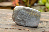 Polished  Labradorite Standing Free Forms With Purple & Gold Flash  x 2 From Tulear, Madagascar - TopRock