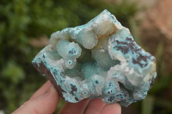Natural Selected A Grade Drusy Coated Blue Chrysocolla dolomite with malachite specimens  x 6 From Likasi, Congo