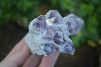 Natural Sugar Amethyst Clusters  x 6 From Solwezi, Zambia - Toprock Gemstones and Minerals 