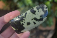 Polished Spotted Leopard Stone Standing Free Forms  x 12 From Nyanga & Shamva, Zimbabwe - Toprock Gemstones and Minerals 