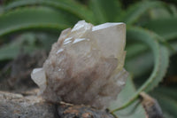 Natural Cascading White Phantom Quartz Clusters  x 6 From Luena, Congo - Toprock Gemstones and Minerals 