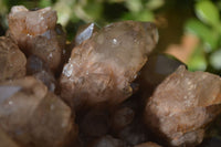 Natural Smokey Phantom Quartz Clusters x 2 From Luena, Congo