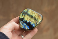 Polished Labradorite Standing Free Forms With Intense Blue & Gold Flash x 12 From Tulear, Madagascar - TopRock