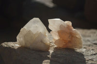 Natural Small Quartz Clusters  x 24 From Madagascar